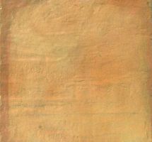 Halcon AGUAVIVA MIEL  31.6×31.6
